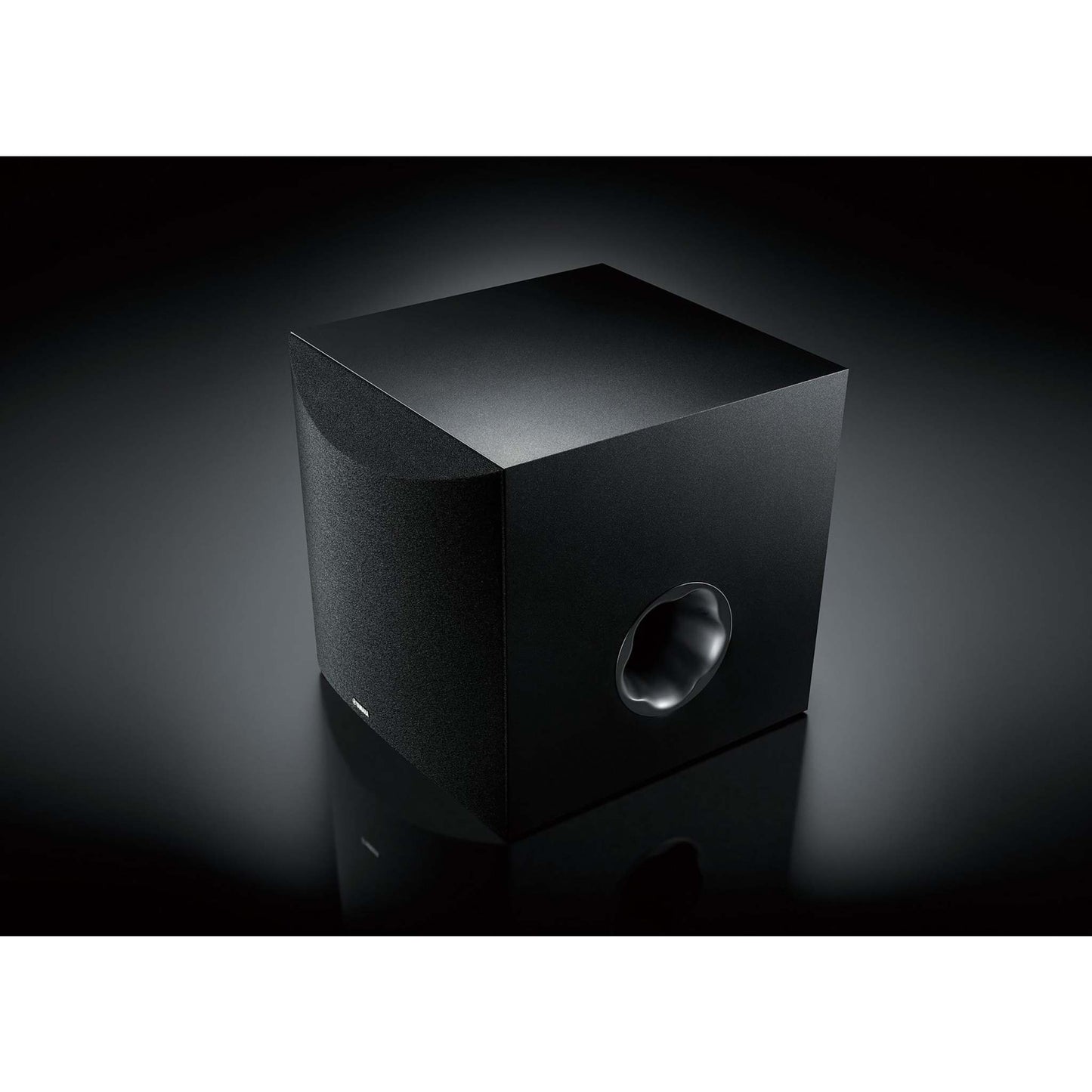10" 100W SUBWOOFER