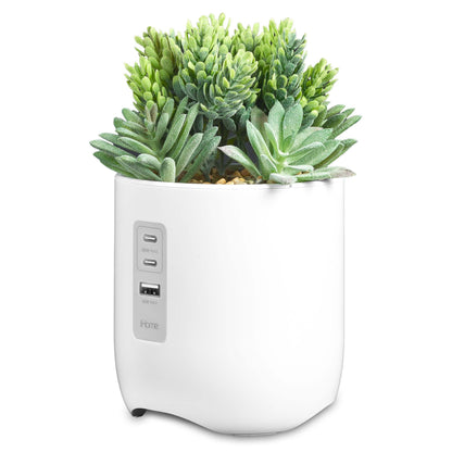 POWERPLANT PLANT CHARGING STATION W/ MULTIPLE CHARGING PORTS