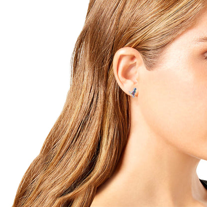 PAVE REXY RAINBOW CRYSTAL STUD EARRINGS