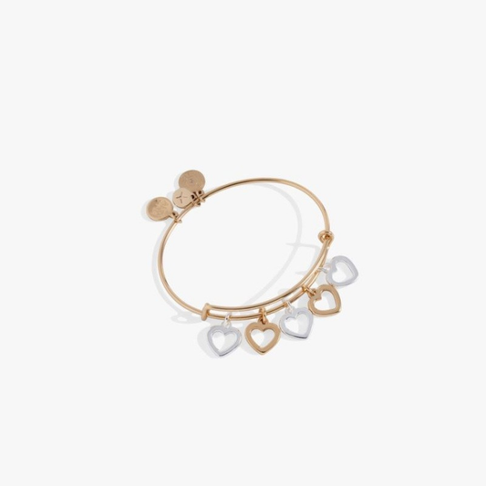 HEARTS MULTI-CHARM BANGLE - TWO TONE