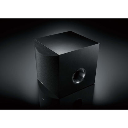10" 100W SUBWOOFER