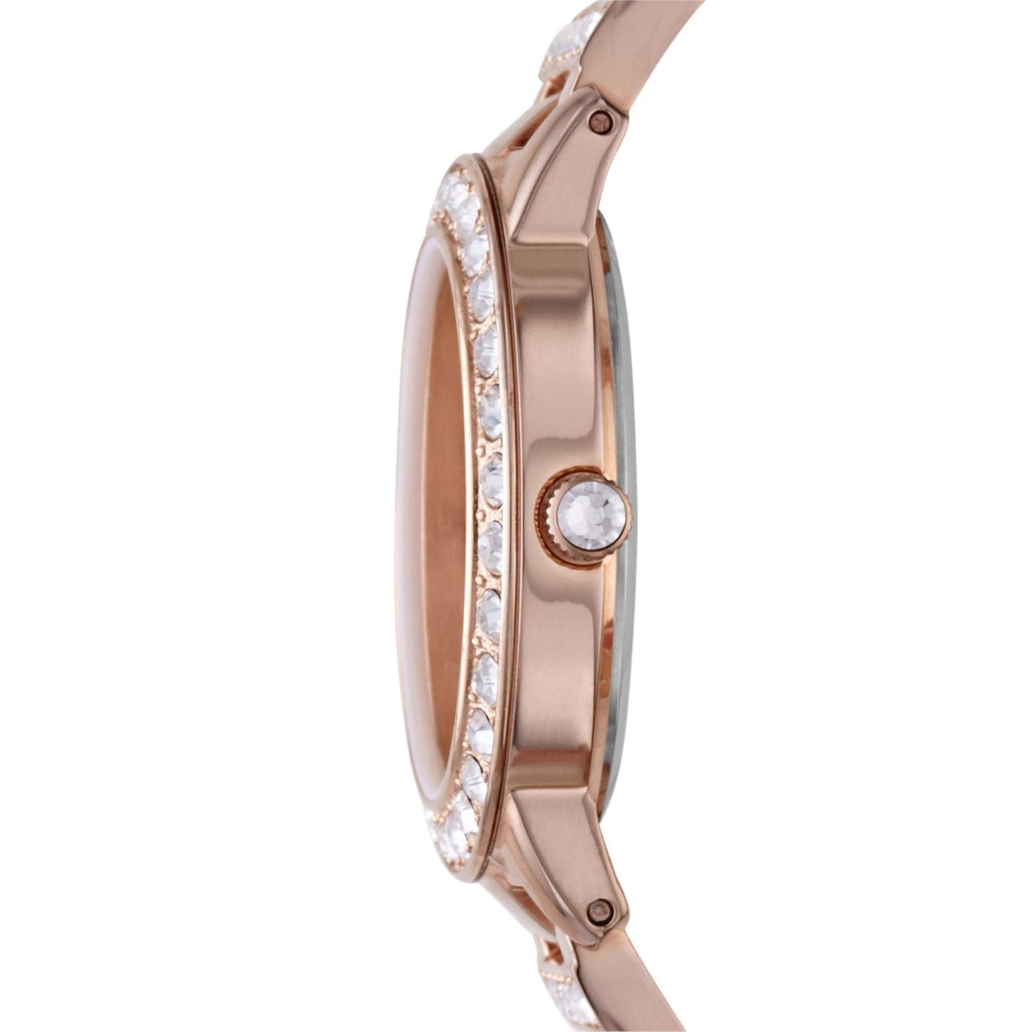LADIES' JESSE STANLESS STEEL CRYSTAL WATCH